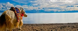 纳木错